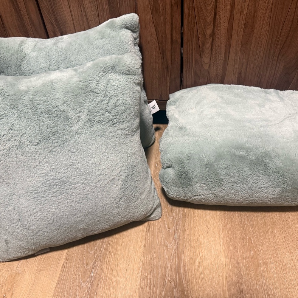 Wamsutta Soft Plush Blanket and Pillow Set - Light Green